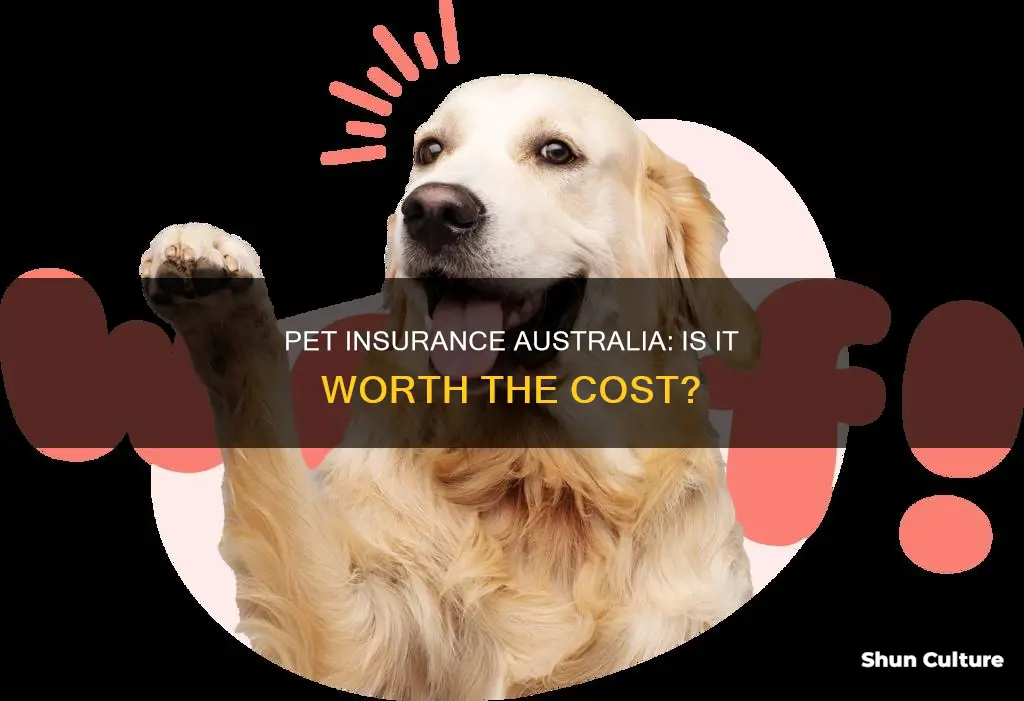 is pet insurance australia any good