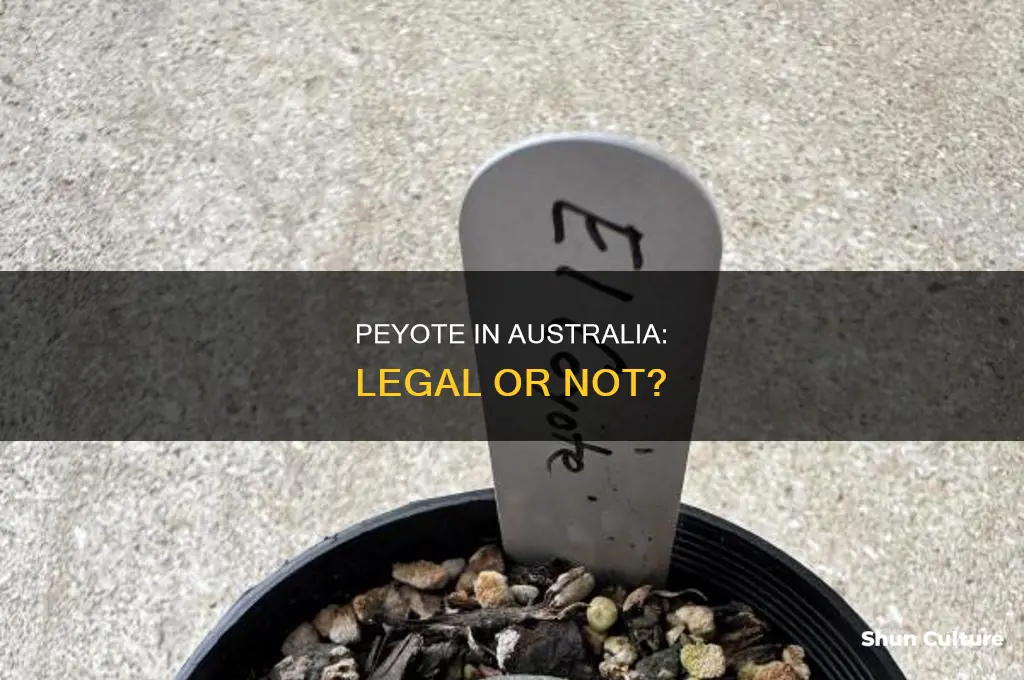 is peyote illegal in australia