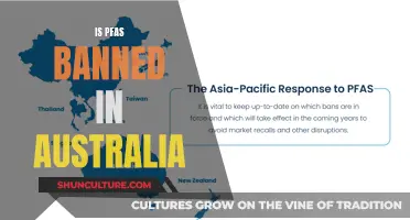 PFAS in Australia: Banned or Not?