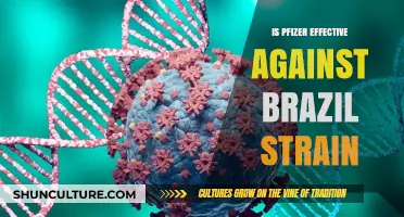 Pfizer Vaccine Effectiveness Against Brazil's P.1 COVID-19 Variant Explained