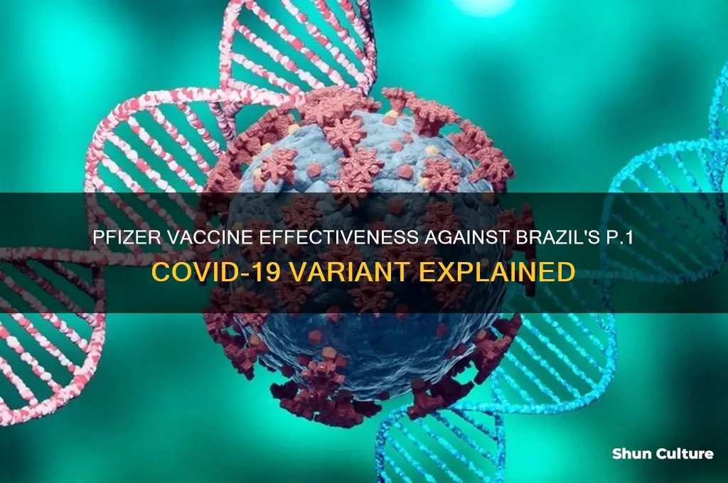 is pfizer effective against brazil strain