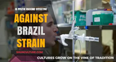 Pfizer Vaccine's Efficacy Against Brazil's P.1 COVID-19 Variant