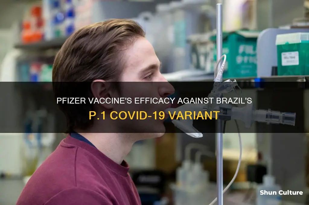 is pfizer vaccine effective against brazil strain