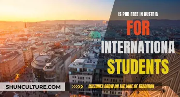 Pursuing a PhD in Austria: Free Education for International Students?