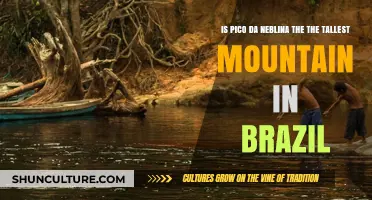 Pico da Neblina: Brazil's Tallest Mountain or a Myth?