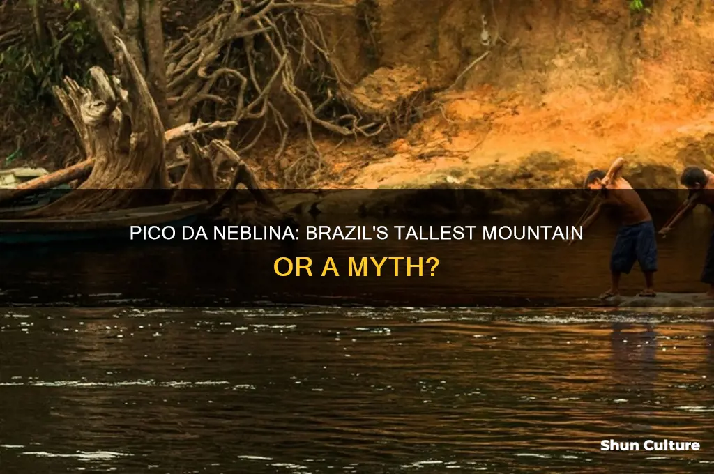is pico da neblina the the tallest mountain in brazil