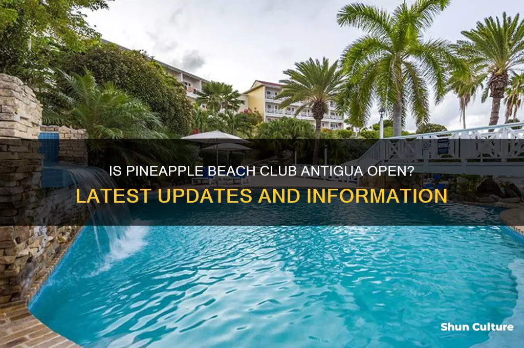 is pineapple beach club antigua open