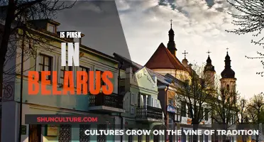 Pinsk: A Historic Belarusian City