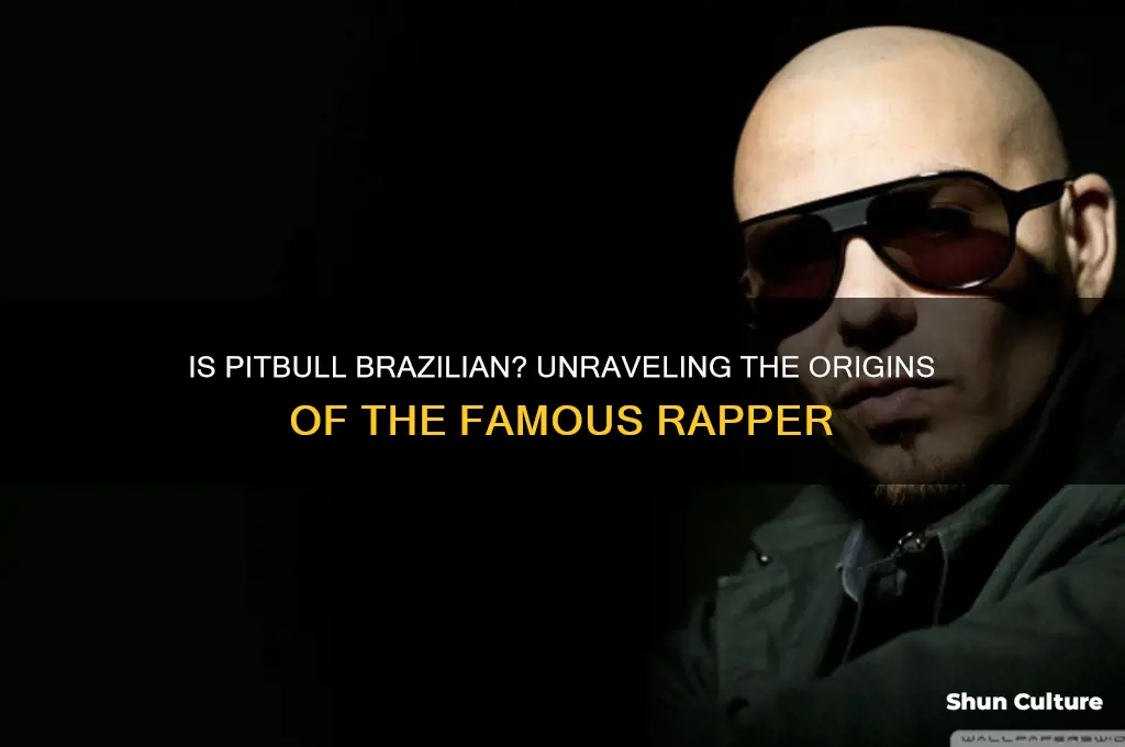is pitbull from brazil