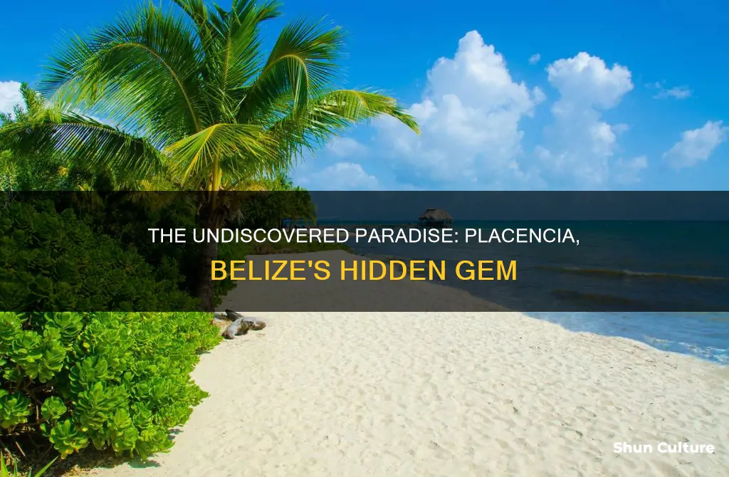 is placencia belize worth visiting