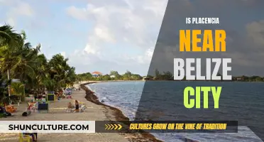 Belize City and Placencia: How Far and What's Near