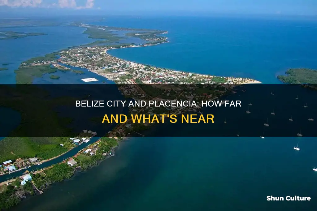 is placencia near belize city