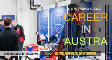 Plumbing: A Rewarding Career Choice in Australia?