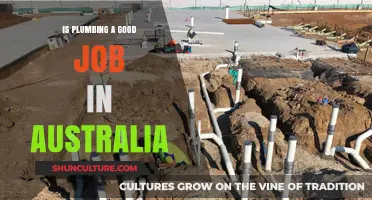 Plumbing in Australia: A Lucrative Career Choice?