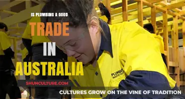 Plumbing Trade: A Smart Career Choice in Australia?