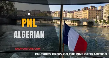 Is PNL Algerian? Exploring the Roots of the Rap Duo