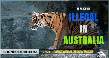 Poaching in Australia: What's the Legal Status?