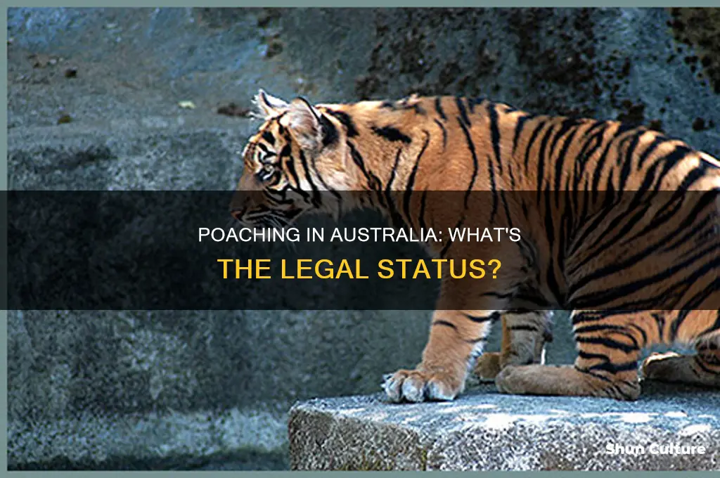 is poaching illegal in australia