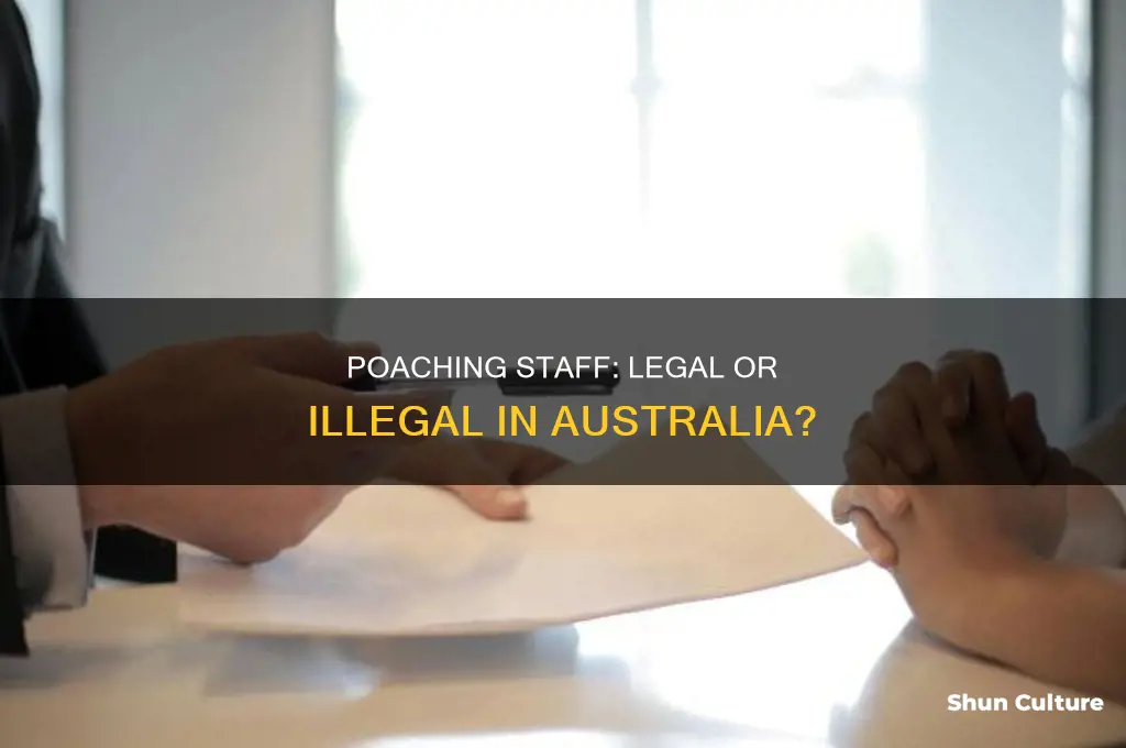is poaching staff illegal in australia