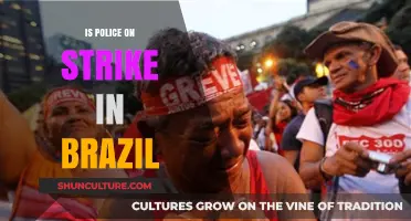 Brazil Police Strike: Unraveling the Crisis and Its Nationwide Impact