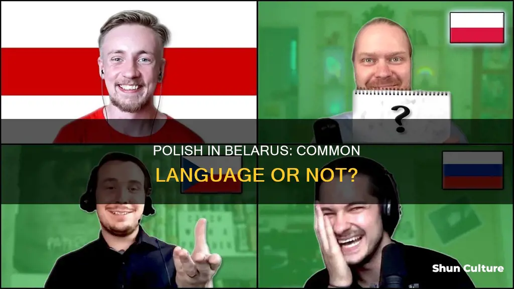 is polish common in belarus