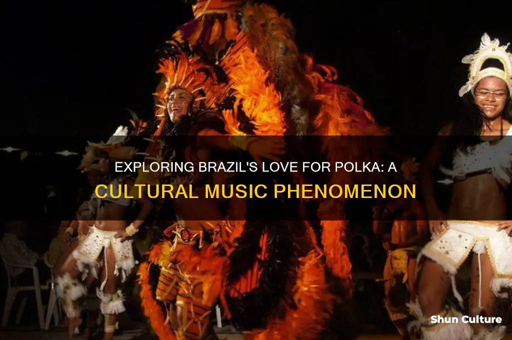 is polka popular in brazil