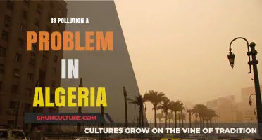 Algeria's Pollution Crisis: Causes, Impacts, and Urgent Solutions Needed