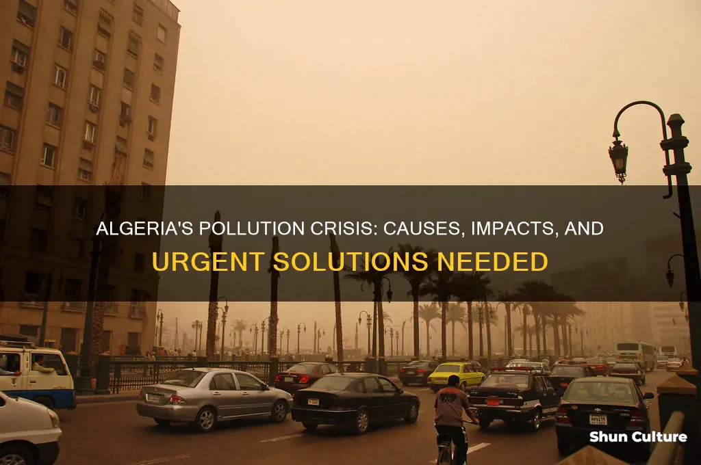 is pollution a problem in algeria