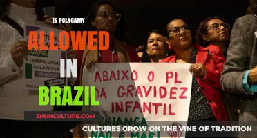 Is Polygamy Legal in Brazil? Exploring the Country's Marriage Laws