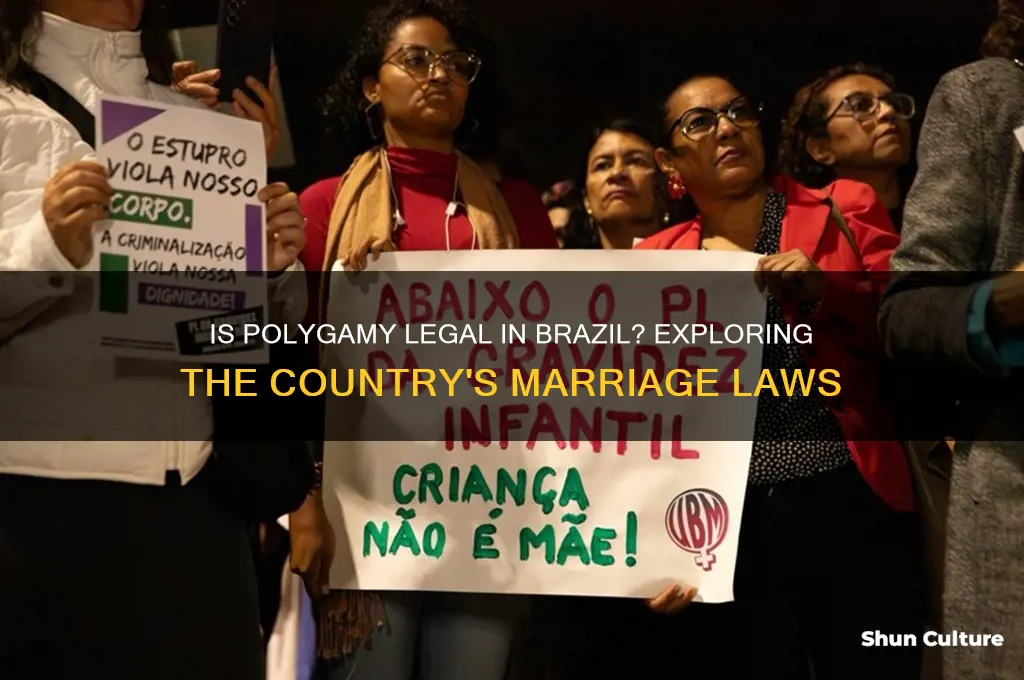 is polygamy allowed in brazil