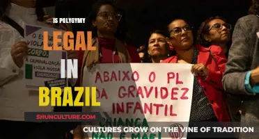 Is Polygamy Legal in Brazil? Understanding the Current Laws