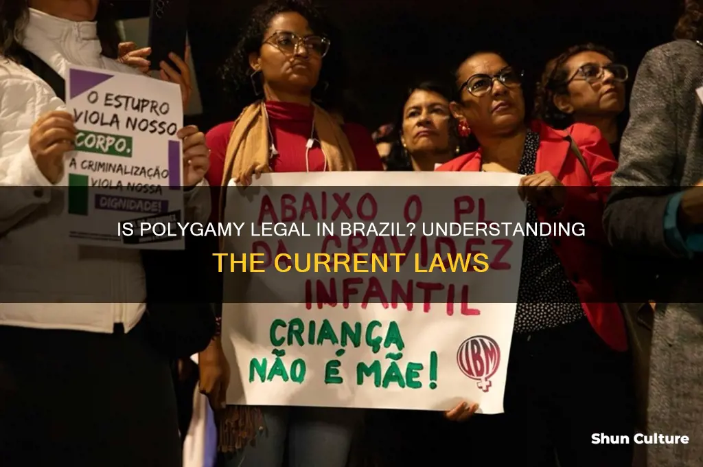 is polygymy legal in brazil