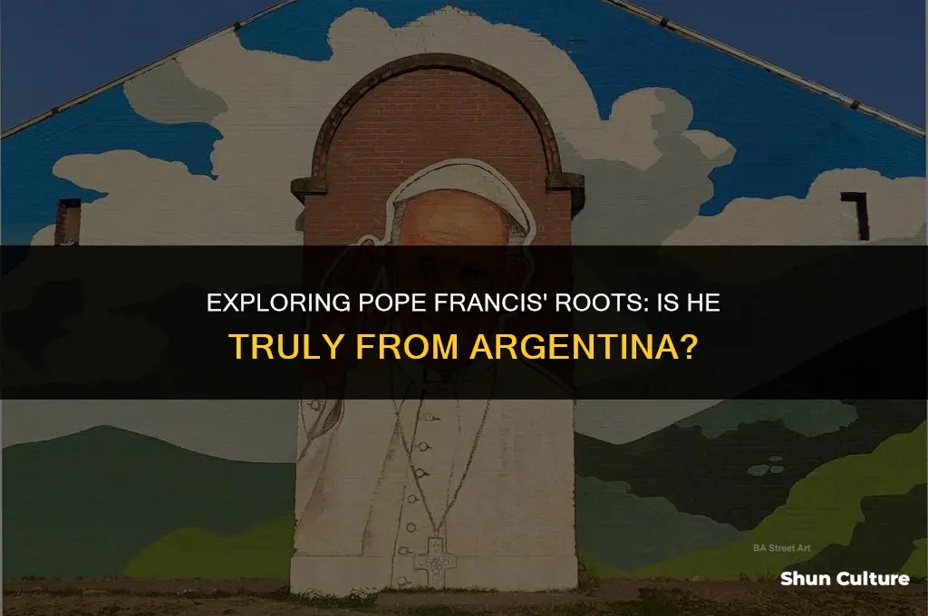is pope francis from argentina
