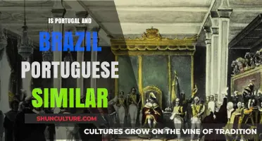 Exploring the Similarities Between Portugal and Brazil's Portuguese Dialects