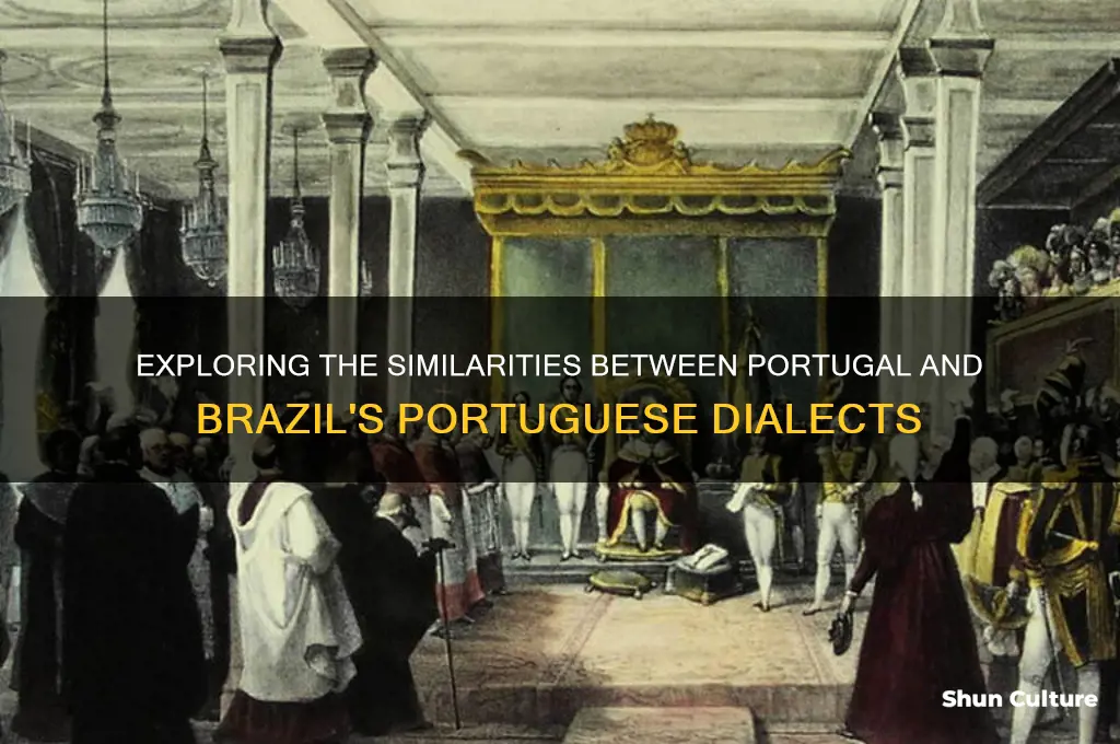 is portugal and brazil portuguese similar