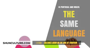 Portuguese in Portugal vs. Brazil: Same Language, Different Flavors?