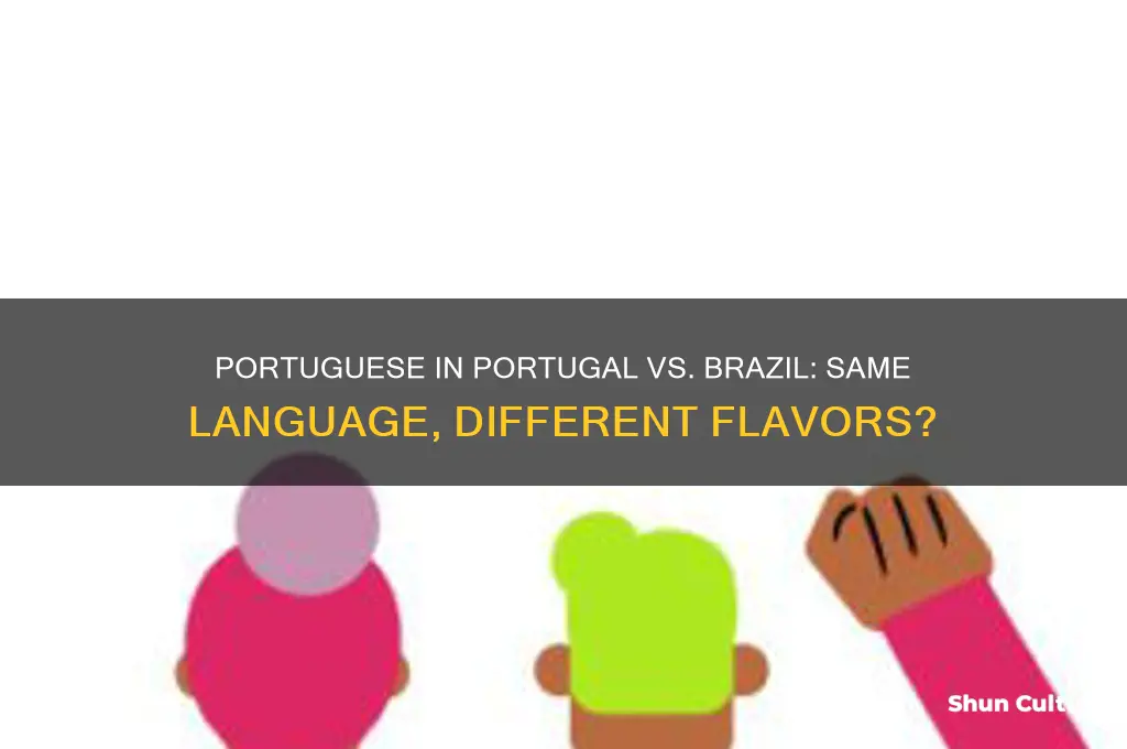is portugal and brazil the same language