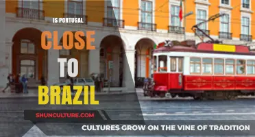 Is Portugal Close to Brazil? Exploring the Distance and Cultural Ties