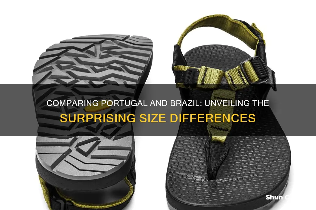 is portugal the same size as brazil