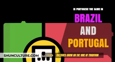 Portuguese in Brazil vs. Portugal: Same Language, Different Flavors?
