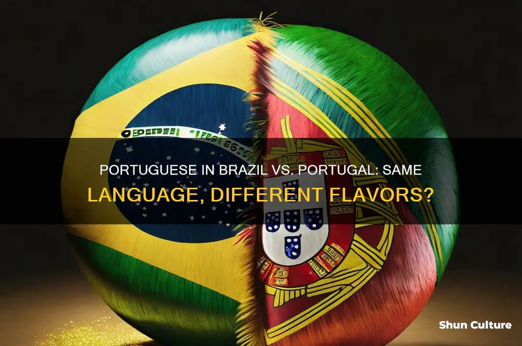 is portugese the same in brazil and portugal