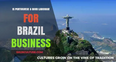 Portuguese Proficiency: A Key Advantage for Business Success in Brazil?