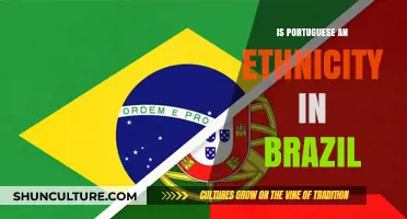 Is Portuguese an Ethnicity in Brazil? Exploring Cultural Identity and Heritage
