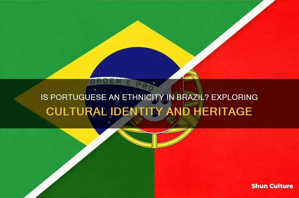 is portuguese an ethnicity in brazil