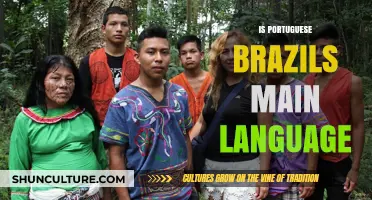 Is Portuguese Brazil's Main Language? Exploring the Linguistic Landscape