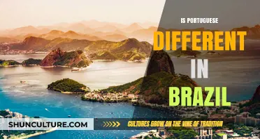 Portuguese in Brazil: Unique Differences from European Portuguese Explained