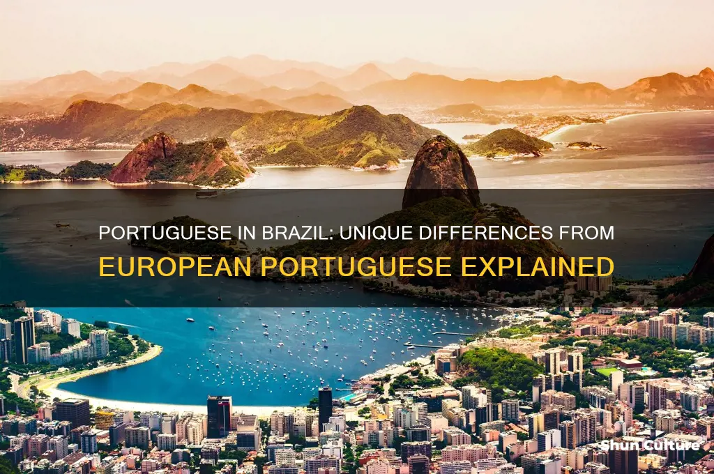 is portuguese different in brazil