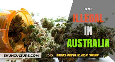 Is Cannabis Legal in Australia? Understanding Current Laws and Regulations