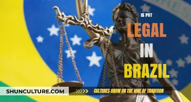 Is Cannabis Legal in Brazil? Current Laws and Penalties Explained