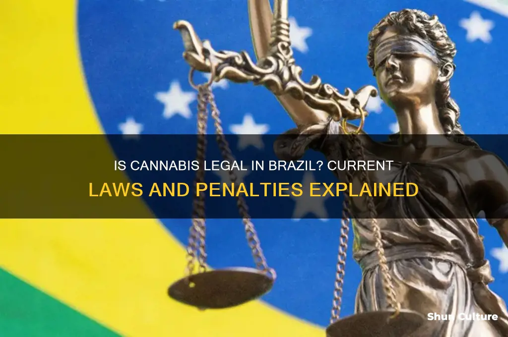 is pot legal in brazil